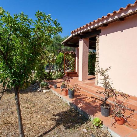 Appartamento Grosseto Bilo San Teodoro  Esterno foto